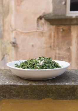 STUDIO TAMARA PEŠIĆ