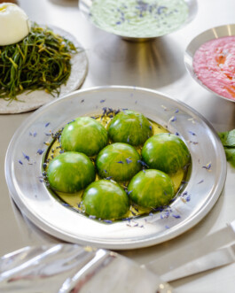 STUDIO TAMARA PEŠIĆ