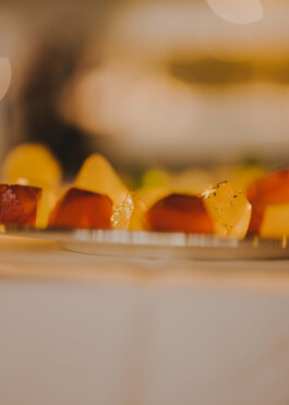 STUDIO TAMARA PEŠIĆ