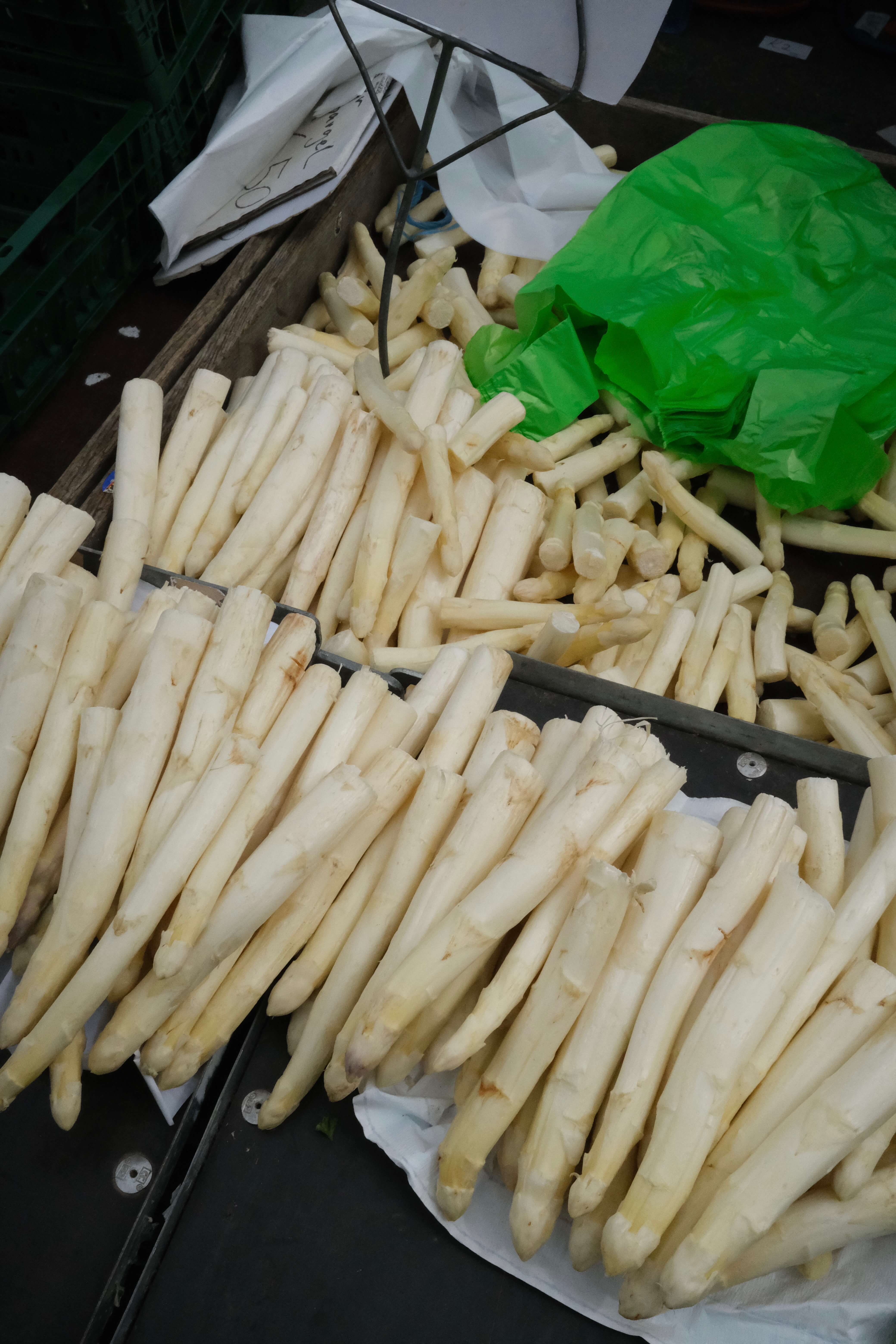 STUDIO TAMARA PEŠIĆ