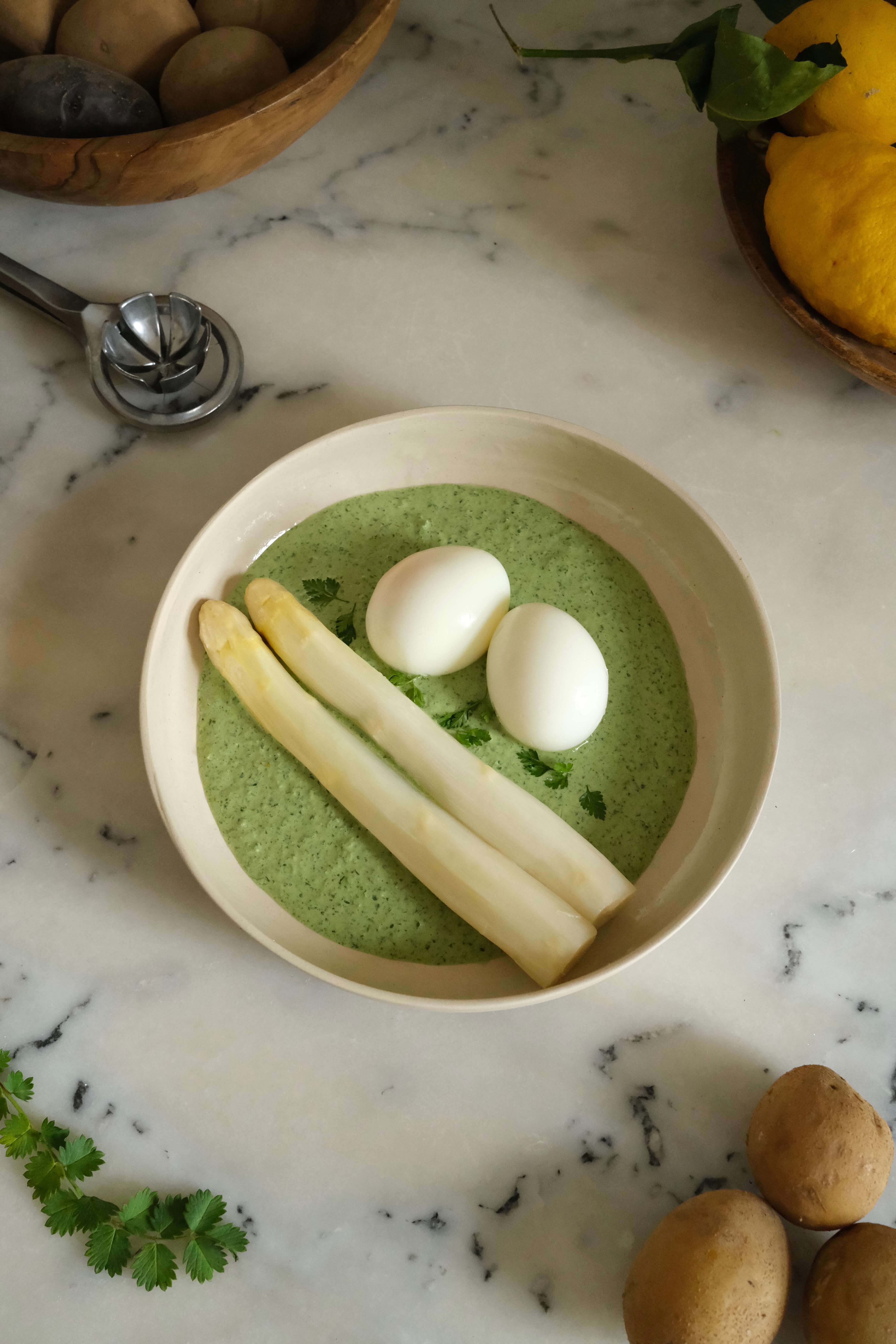 STUDIO TAMARA PEŠIĆ