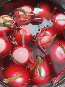 STUDIO TAMARA PEŠIĆ