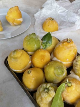 STUDIO TAMARA PEŠIĆ