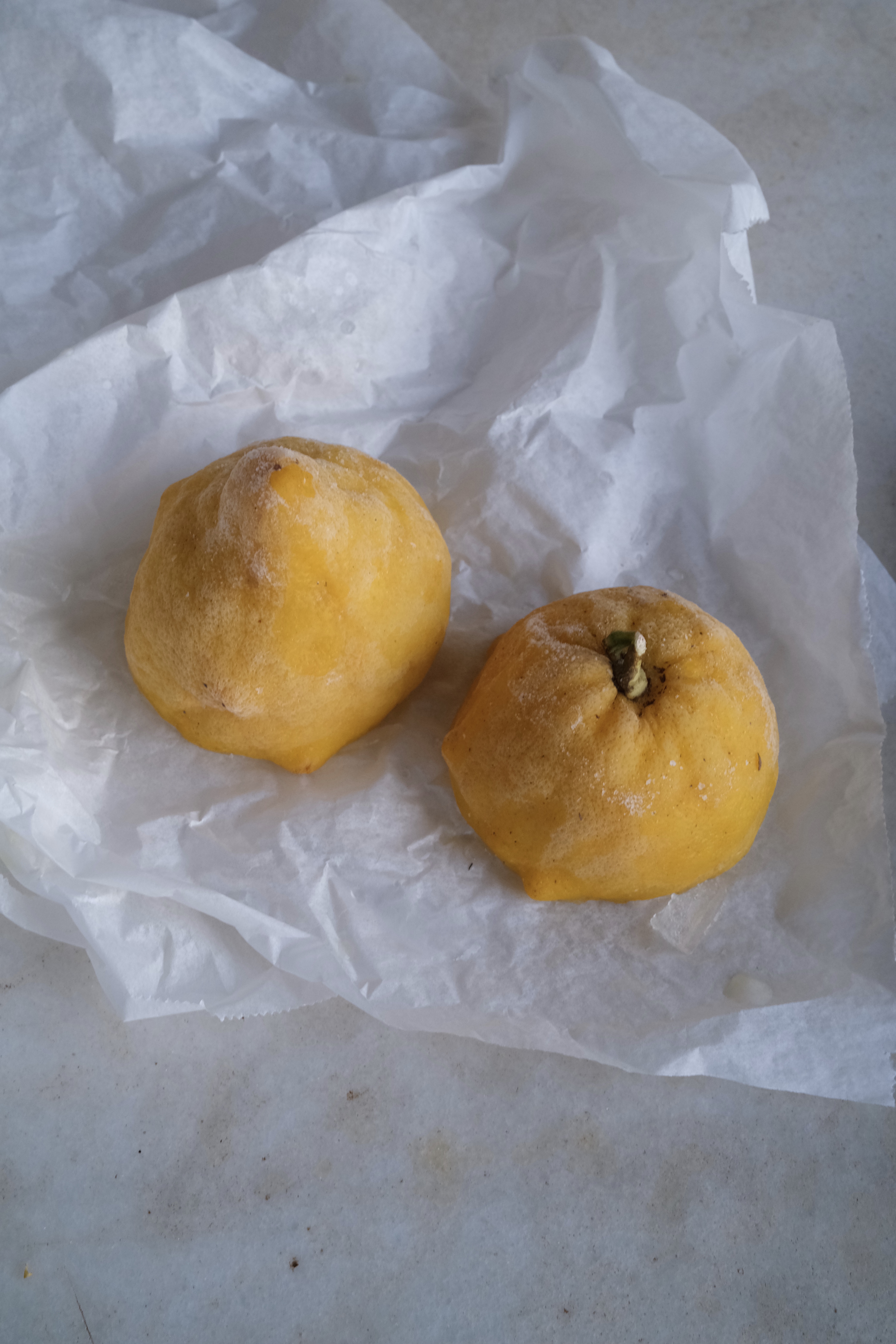 STUDIO TAMARA PEŠIĆ