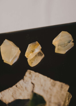 STUDIO TAMARA PEŠIĆ