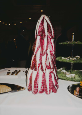 STUDIO TAMARA PEŠIĆ